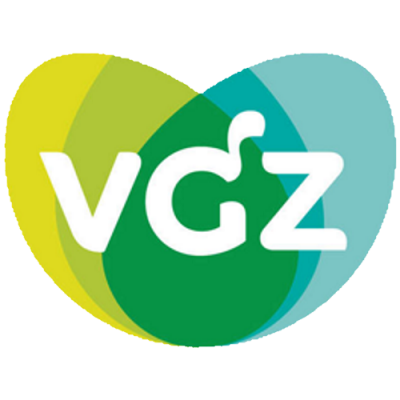 Vgz Logo Fysio Hintham1